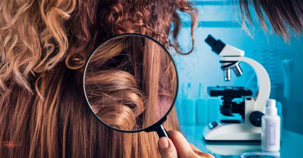 Hair Texture and Lice Detection